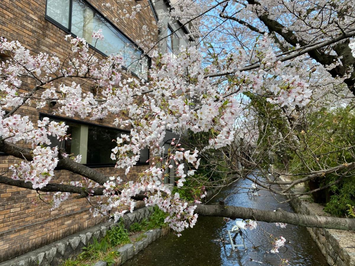Rinn Shijo Takase River North Kioto Zewnętrze zdjęcie
